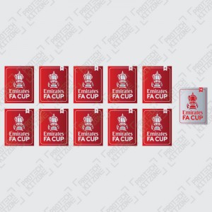 2020/21 The Emirates FA Cup Badges
