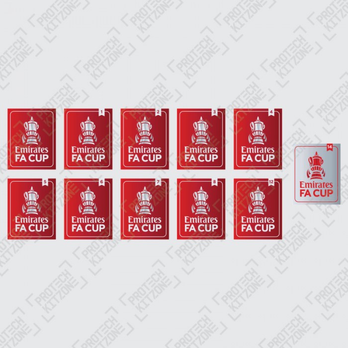2020/21 The Emirates FA Cup Badges, Official English Leagues Badges, FA 2021 BADGE, 