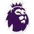 Premier League Badge - Women/Youth Size