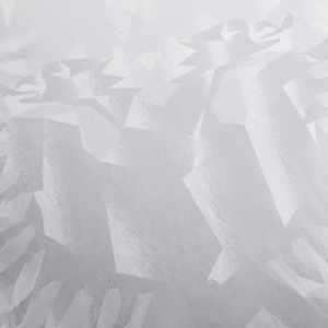 [Player Edition] Albania 2024 Match Away Shirt