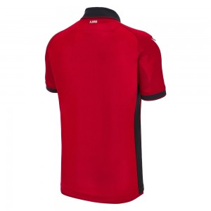 [Player Edition] Albania 2024 Match Home Shirt