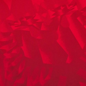 [Player Edition] Albania 2024 Match Home Shirt