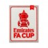 FA Cup Champions 13