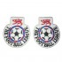 The English Football League Sleeve Badge (Unofficial Product)