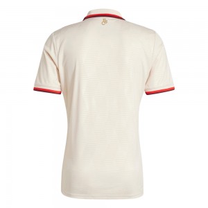 FC Bayern Munich 2024/25 Third Shirt