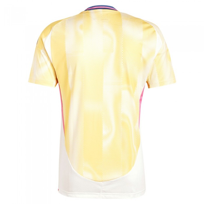 Juventus 2024/25 Away Shirt