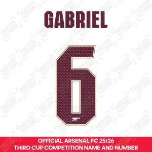 Gabriel 6 - Official Arsenal 2025/26 Third Club Name and Numbering