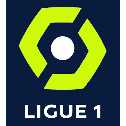 France Ligue 1 Version